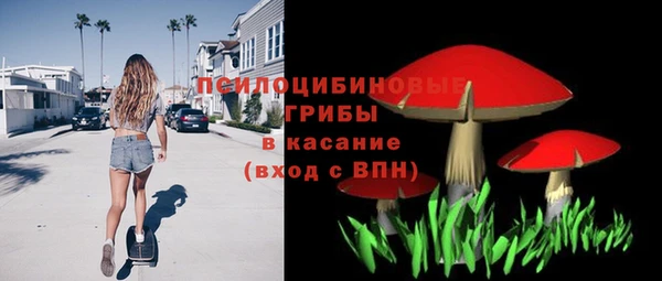дмт Горно-Алтайск