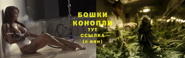 гидропоника Горнозаводск
