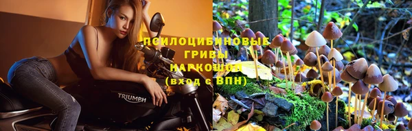 гидропоника Горнозаводск