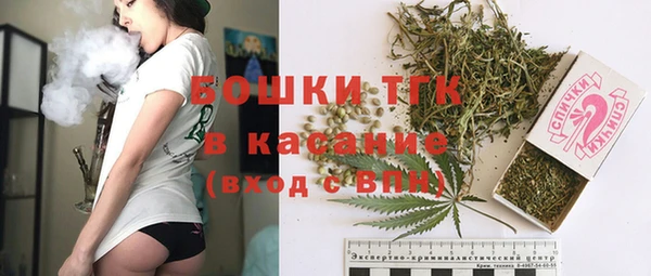 гидропоника Горнозаводск