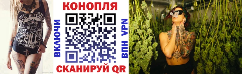 Бошки Шишки Amnesia  Купить закладки  Шагонар 
